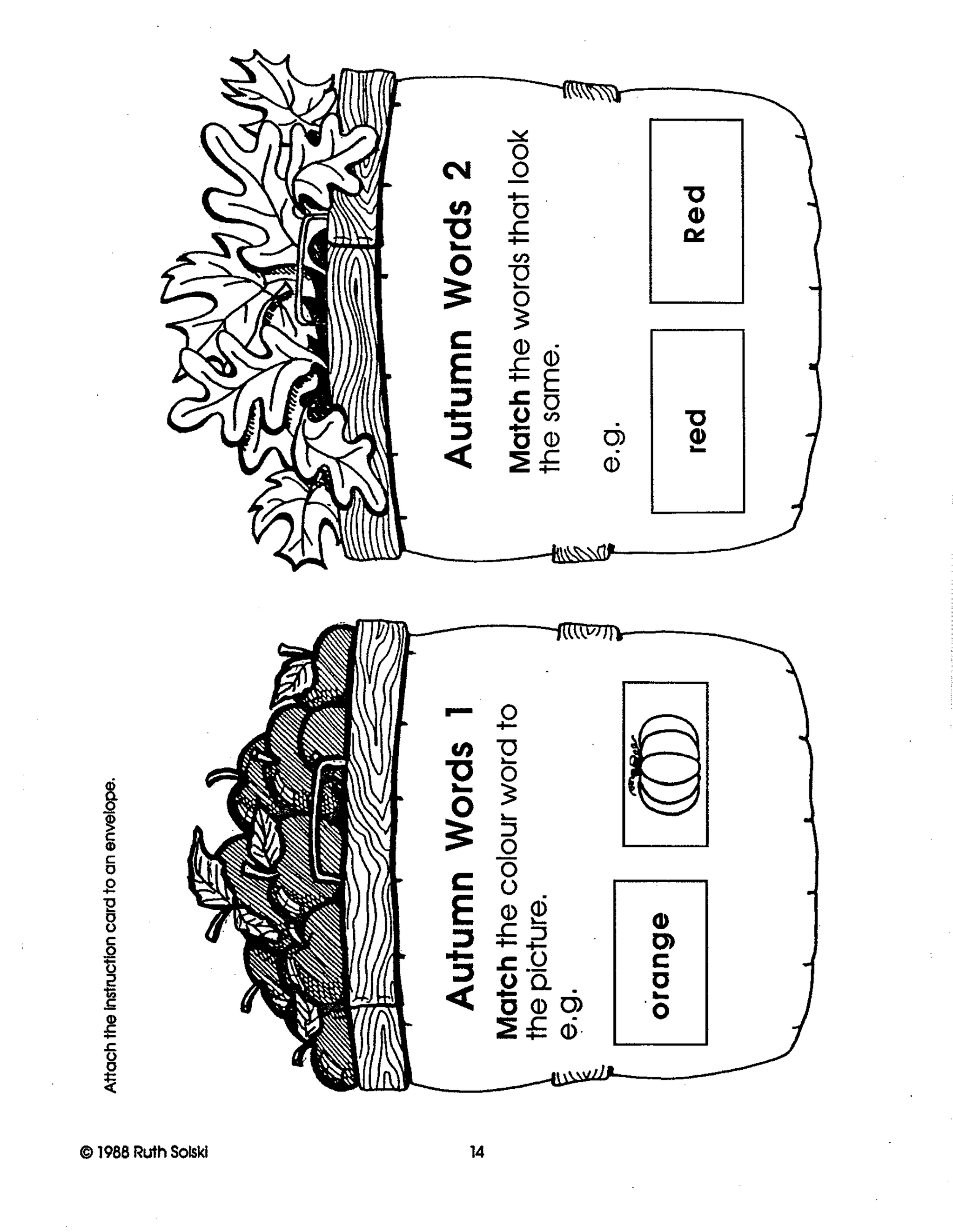 Autumn Wonders Grade 1