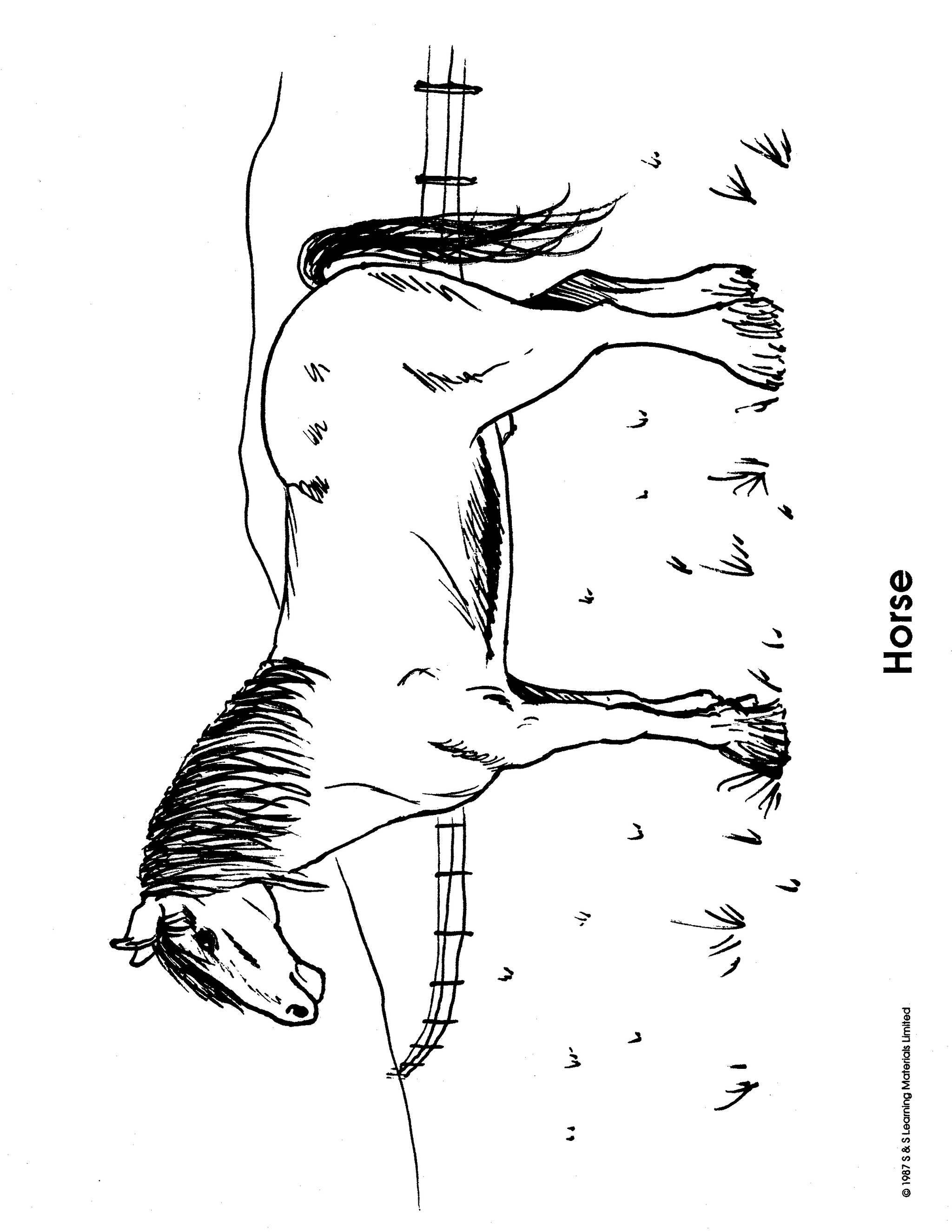 Farm Animals Black & White Picture Collection Grades K-8