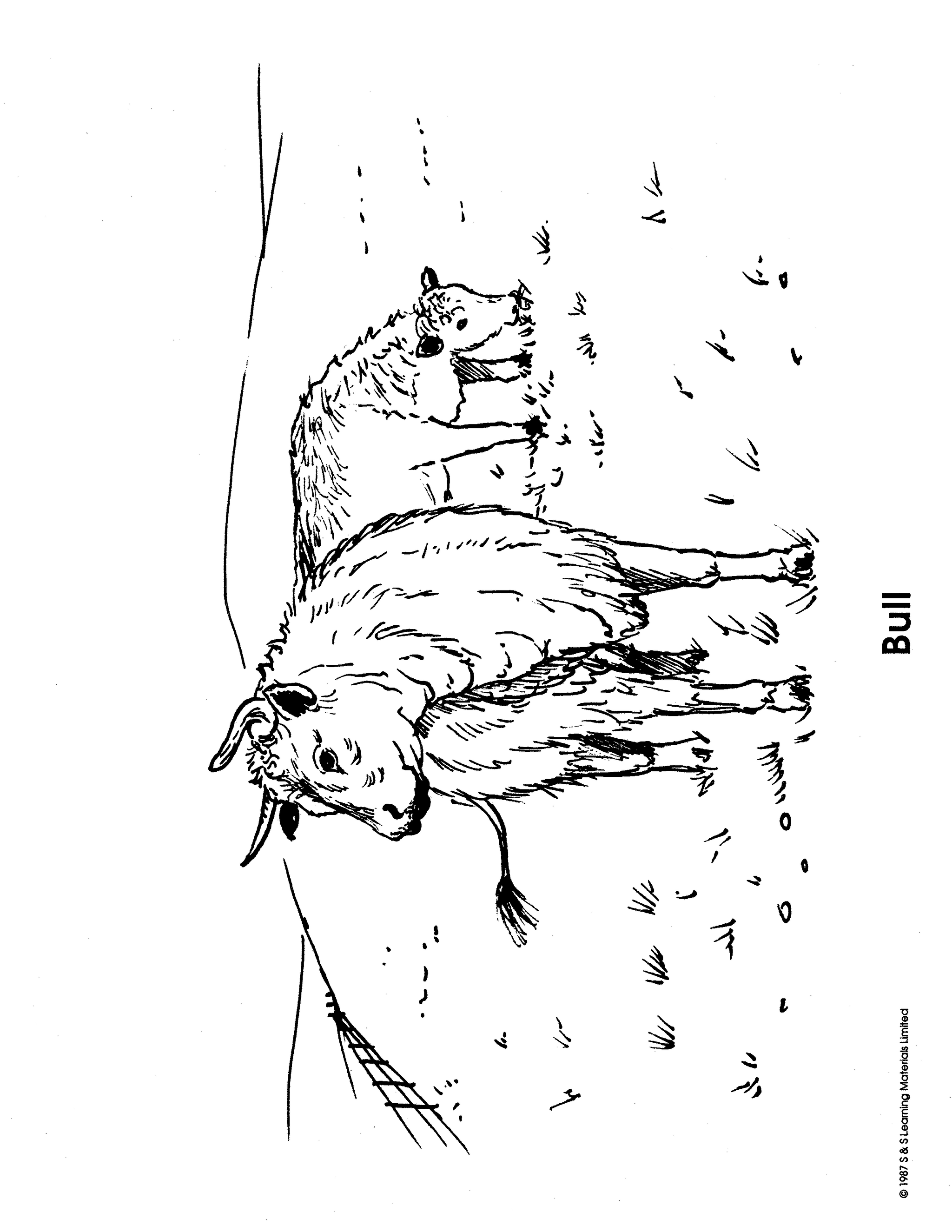 Farm Animals Black & White Picture Collection Grades K-8