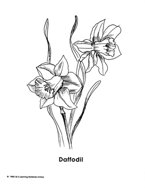 Garden Flowers Black & White Picture Collection Grades K-8