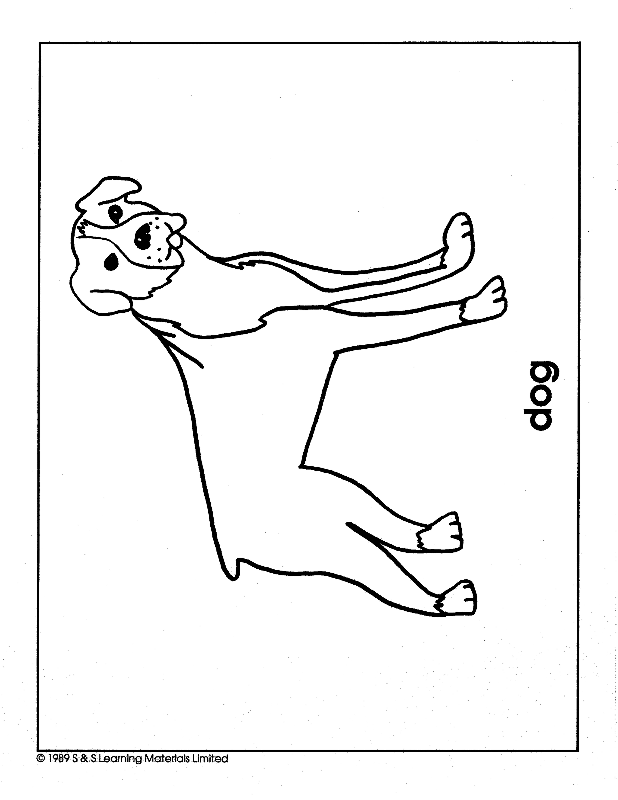 Pets Black & White Picture Collection Grades K-8