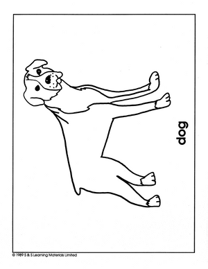 Pets Black & White Picture Collection Grades K-8