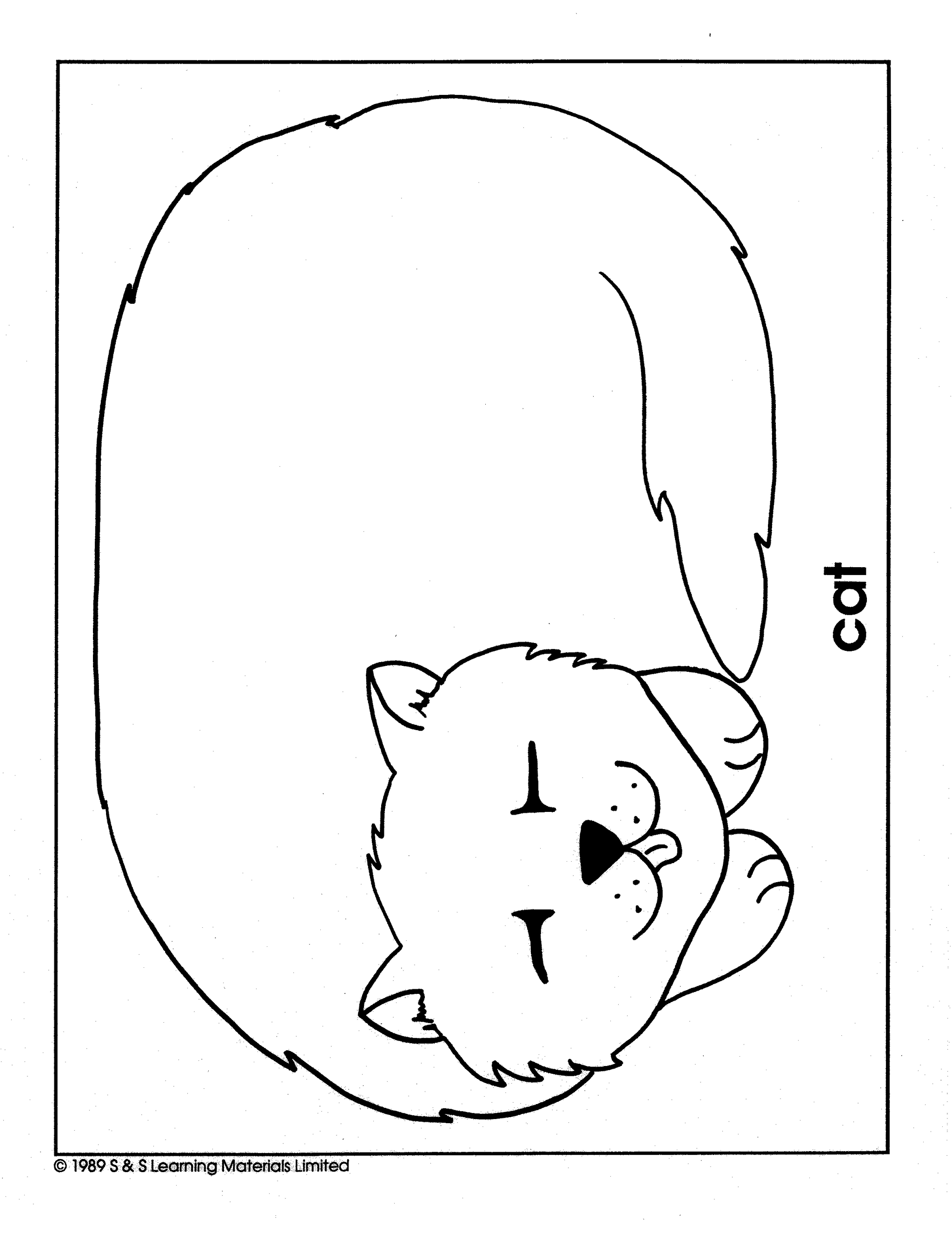 Pets Black & White Picture Collection Grades K-8