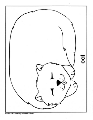 Pets Black & White Picture Collection Grades K-8