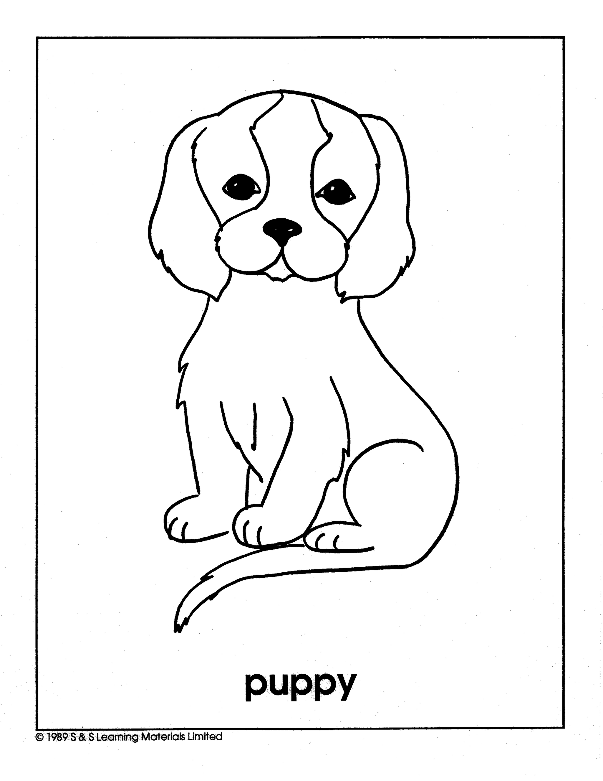 Pets Black & White Picture Collection Grades K-8