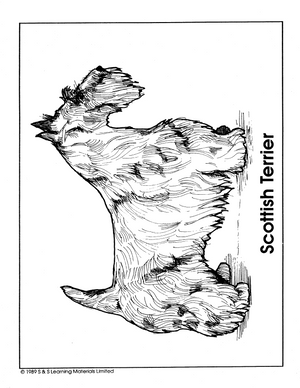 Dogs Black & White Picture Collection