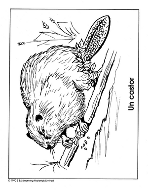 Les Animaux D'amerique du Nord Collection d'image