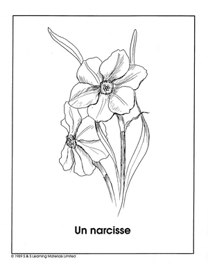 Les Fleurs du Jardin Collection d'image