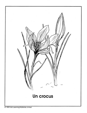 Les Fleurs du Jardin Collection d'image