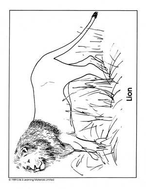 Cats Picture Collection Grade 1-8