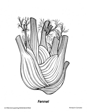 Vegetables Black & White Picture Collection Grades K-8