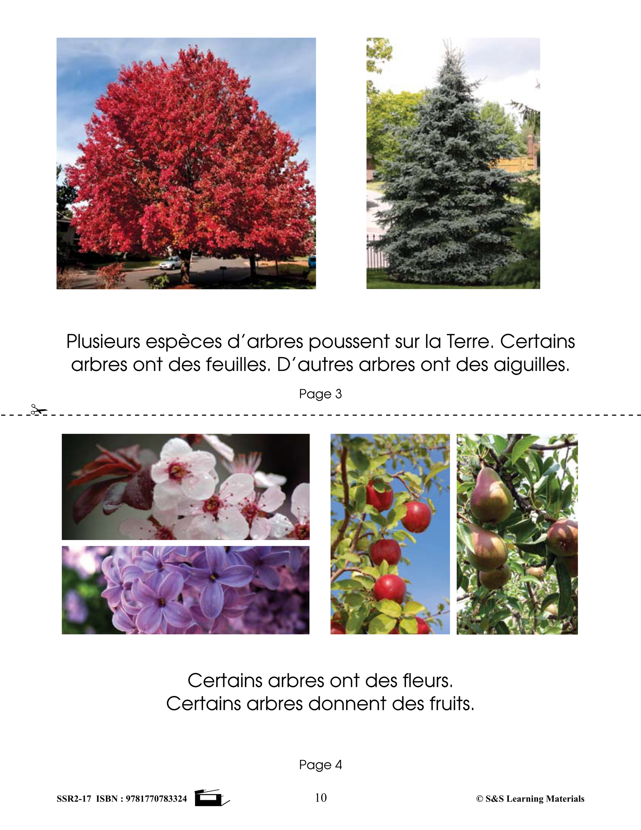 C'est un fait! Compréhension de textes informatifs 1e à 3e année