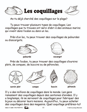 Compréhension de textes informatifs pour filles 2e année