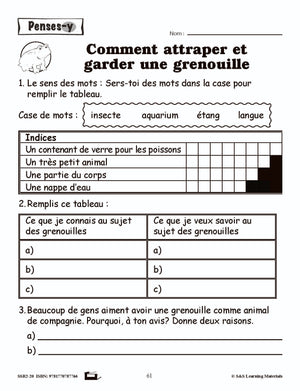 Compréhension de textes informatifs pour garçons 2e année