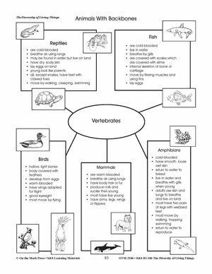 Backbone or No Backbone Lesson Plan Grades 4-6