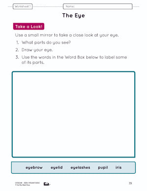 Senses - 4 Lesson Bundle Grade 1 (eLesson Plan)