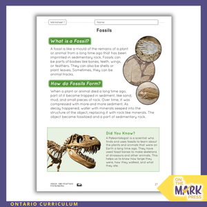Rocks, Minerals, & Geological Processes Grade 4 Ontario 2022 Curriculum
