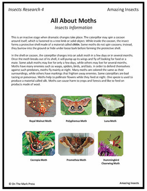 Amazing Insect: 6 Information Research Topics Grades 4-6 Google Slides & Printables