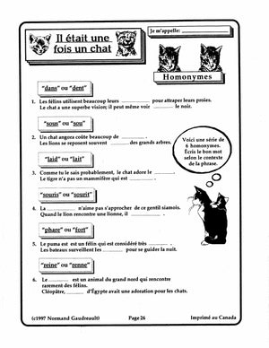 Il était une fois un chat 4e à 6e année