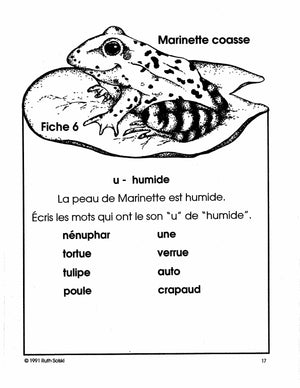 Les Grenouilles 1e à 2e année