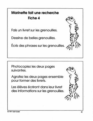 Les Grenouilles 1e à 2e année