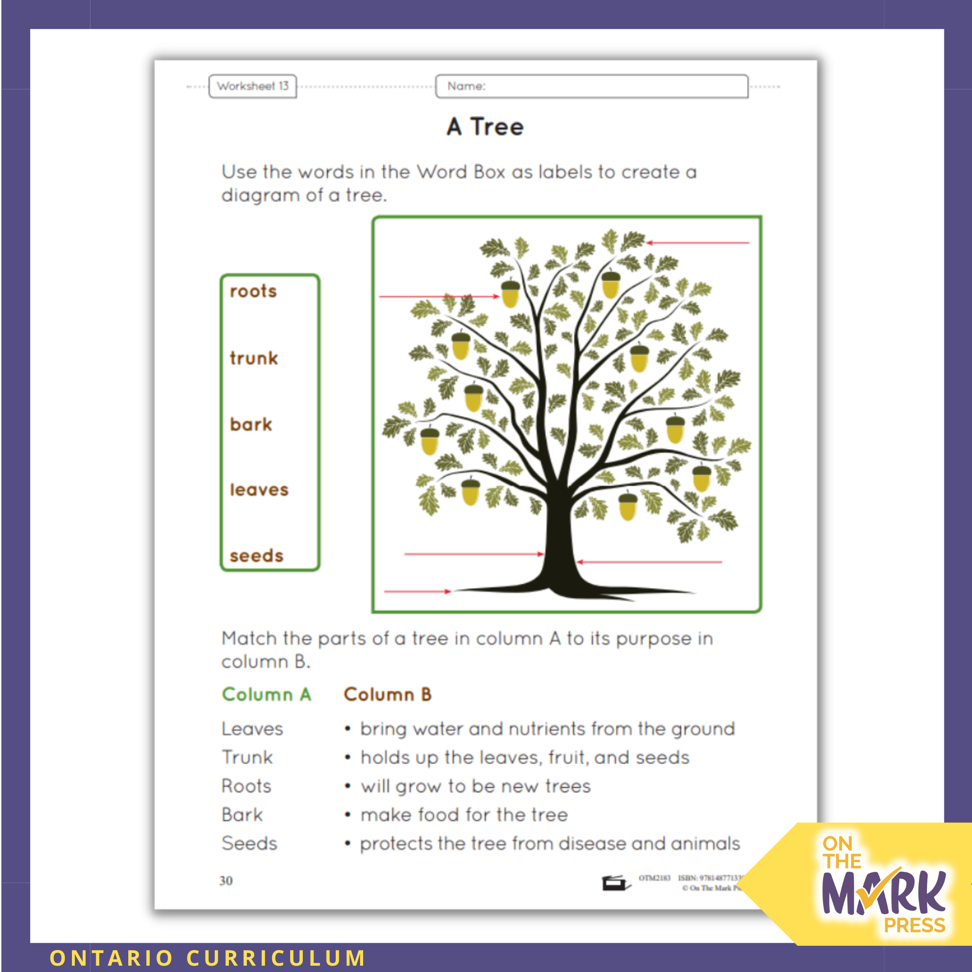 Life Systems Growth And Change In Plants Ontario Grade 3 Curriculum Life systems growth and change in plants ontario grade 3 curriculum