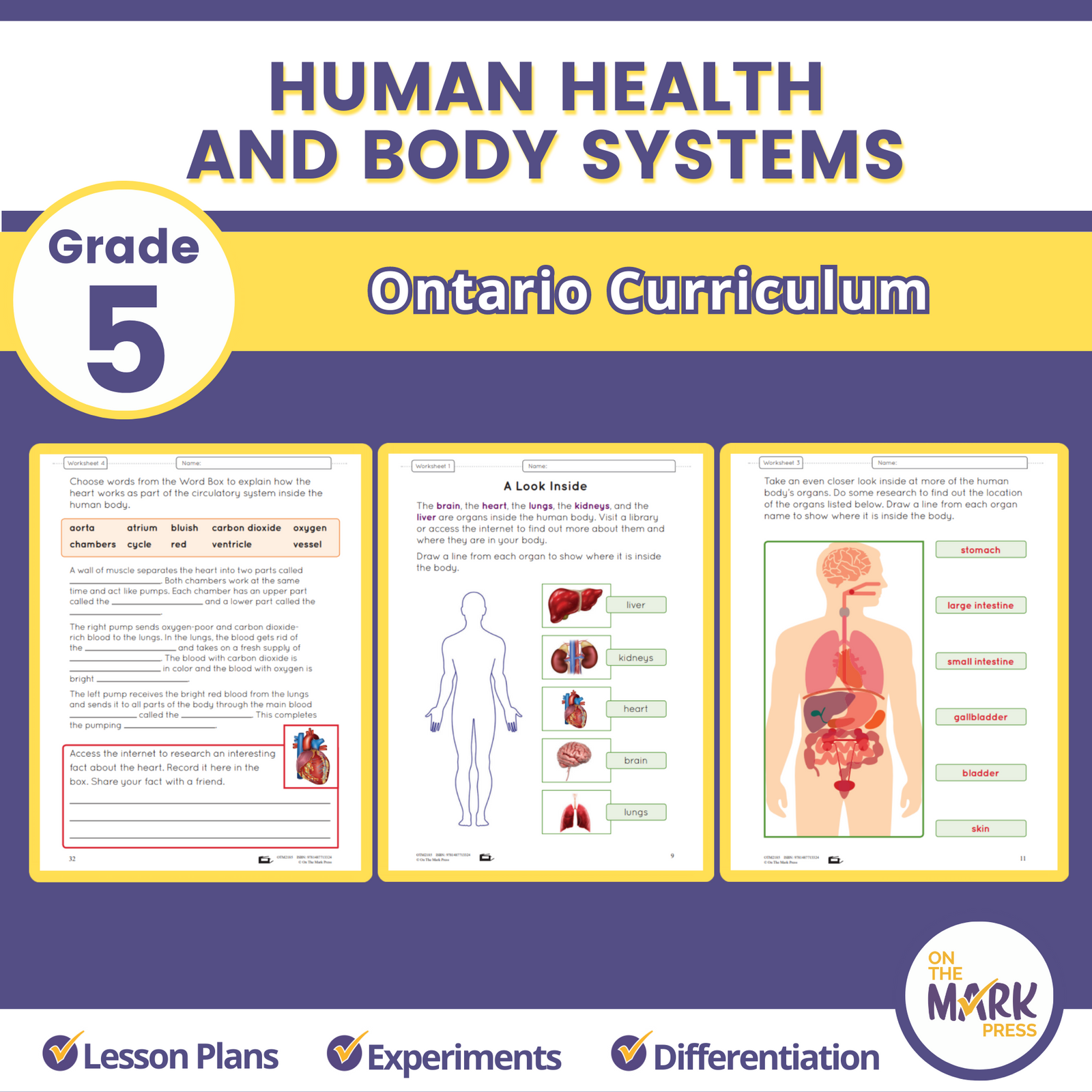Life Systems Human Health and Body Systems Ontario Grade 5 Curriculum