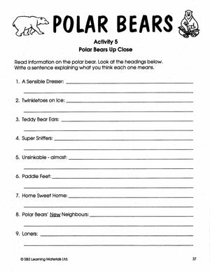 Pandas, Polar Bears & Penquins Grades 4-6