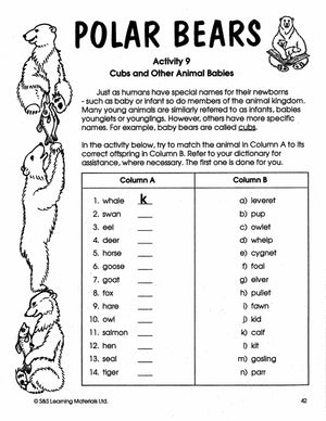 Pandas, Polar Bears & Penquins Grades 4-6