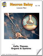Neuron Relay Lesson Grades 7-8