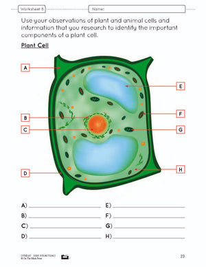 Microscopic Work e-Lesson Plan Grade 8