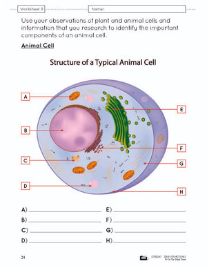 Microscopic Work e-Lesson Plan Grade 8