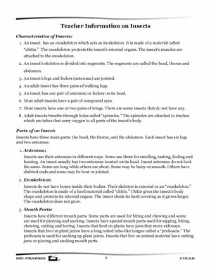 Teacher Information on Insects Grades 2-3