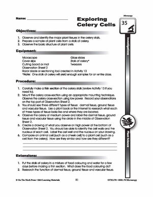 Plant Science Microscopy Investigations Gr. 5-8