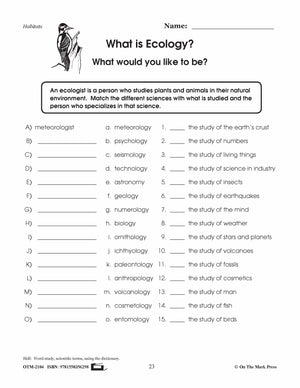 What is Ecology?  Lesson Plan Grades 4-6