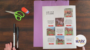 Animal Life Cycle Photo Cards & Templates, Grade 3-4+ Google Slides Ontario Grade 2 Life Systems