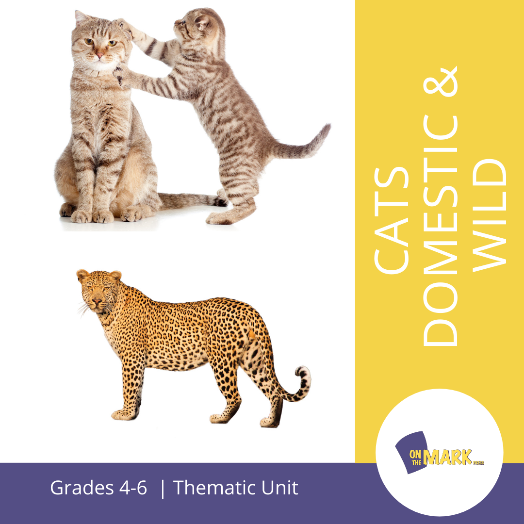 Cats - Domestic & Wild Grade 4-6