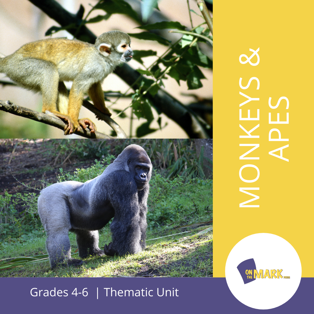 Monkeys and Apes Grades 4-6