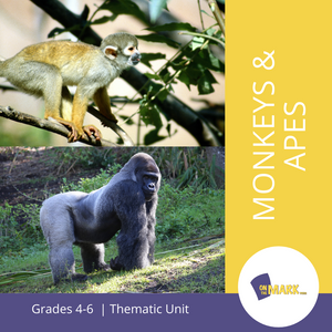 Monkeys and Apes Grades 4-6