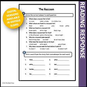 The Raccoon Reading Lesson Gr. 1-2 Google Slides & Printables Distance Learning