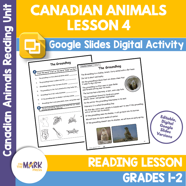 The Groundhog Reading Lesson Gr. 1-2 Google Slides & Printables Distance Learning