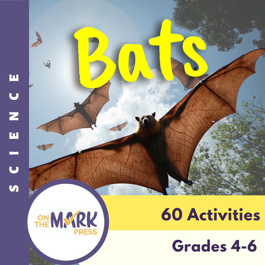 Bats Grades 4-6