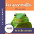 Les Grenouilles 1e à 2e année