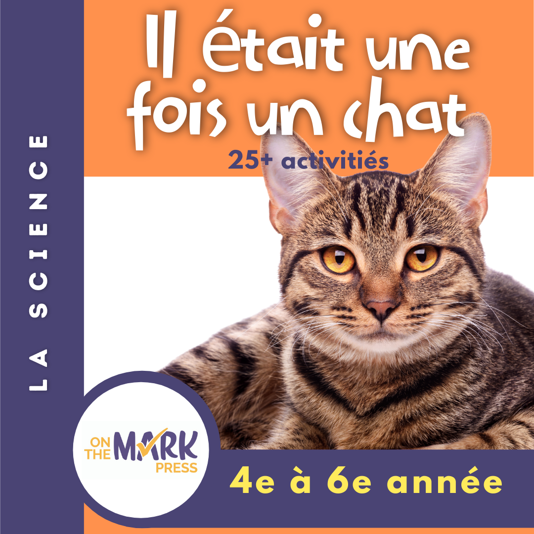 Il était une fois un chat 4e à 6e année