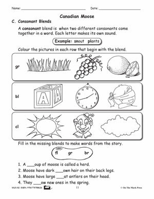 The Canadian Moose Reading E-Lesson Plan Grade 2