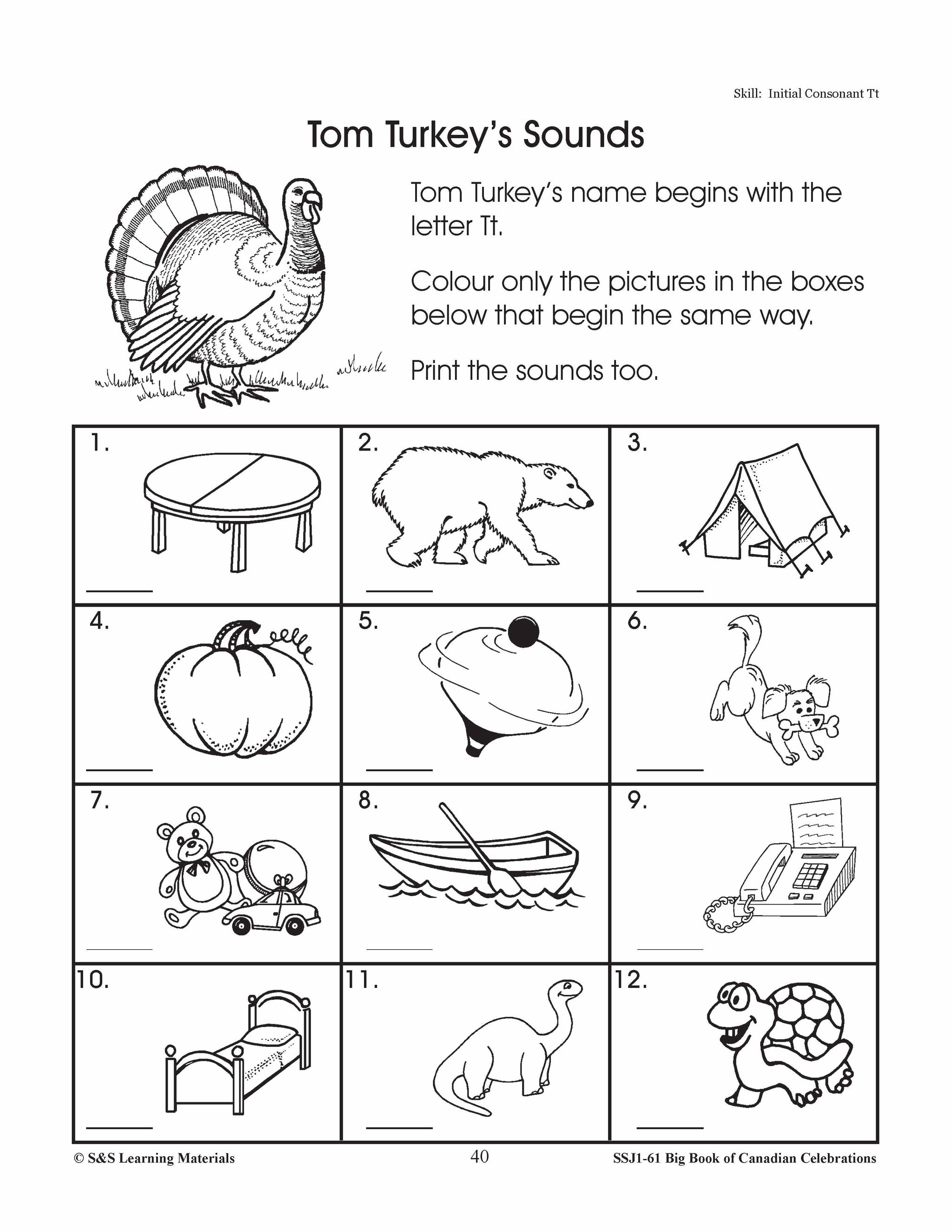 Thanksgiving Gr. 1-3 Teacher Directed Lesson & Activities