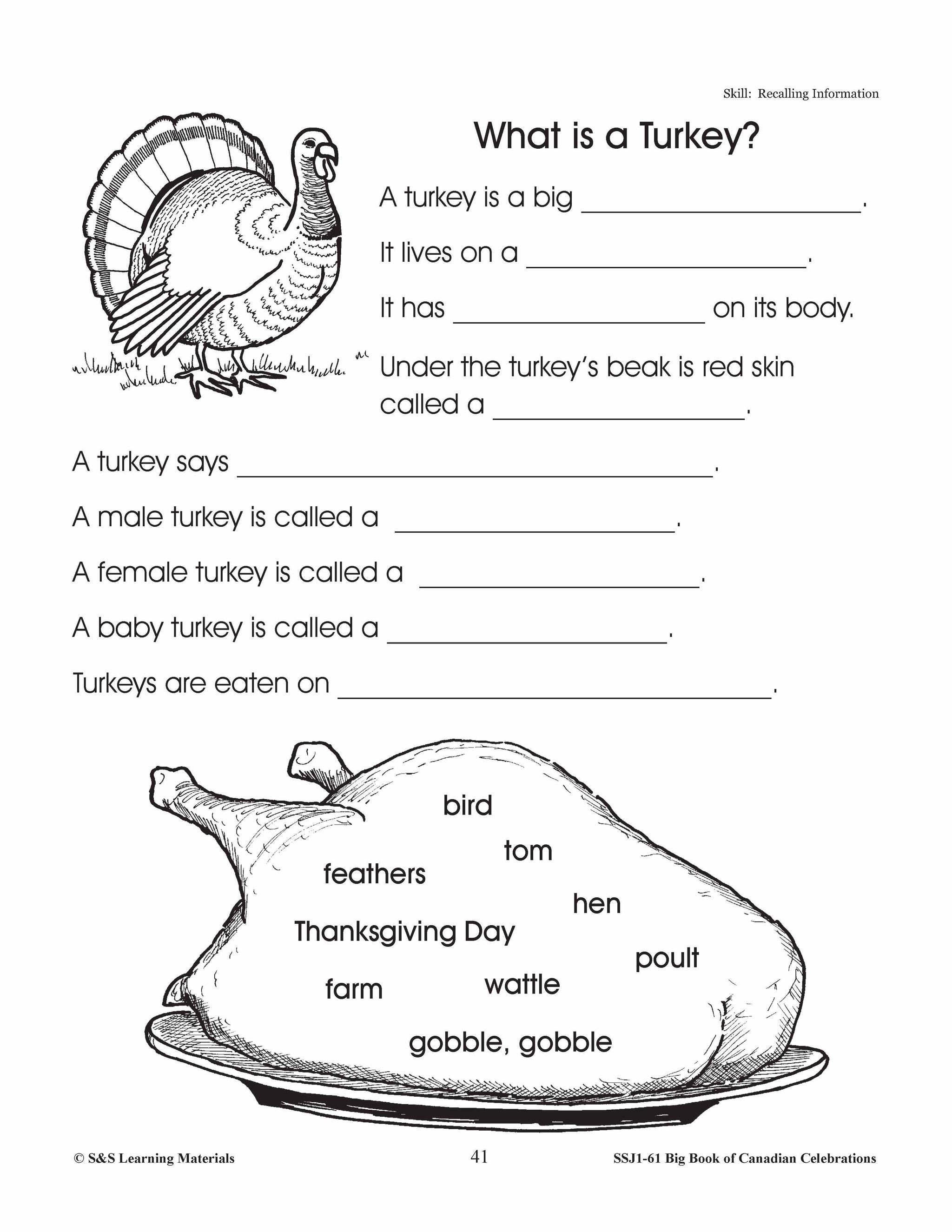 Thanksgiving Gr. 1-3 Teacher Directed Lesson & Activities