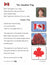 The Canadian Flag Reading Lesson Gr. 1 E-Lesson Plan