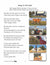 Going to the Farm Reading Lesson Gr. 1 E-Lesson Plan