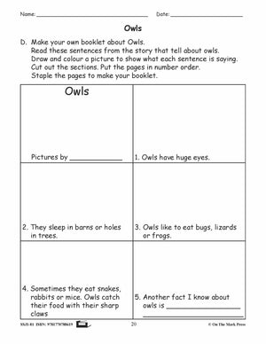Owls Reading Lesson Gr. 1 E-Lesson Plan